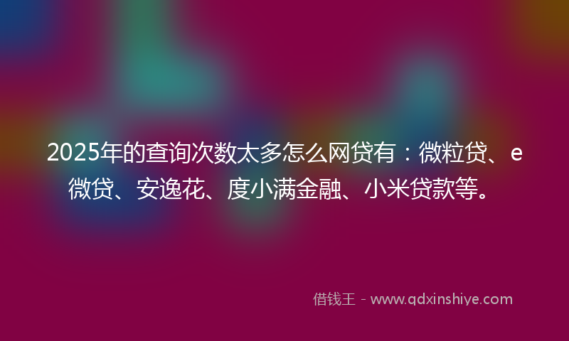 2025年的查询次数太多怎么网贷有：微粒贷、e微贷、安逸花、度小满金融、小米贷款等。