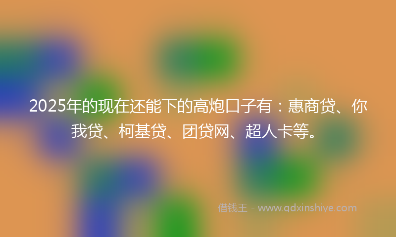 2025年的现在还能下的高炮口子有：惠商贷、你我贷、柯基贷、团贷网、超人卡等。