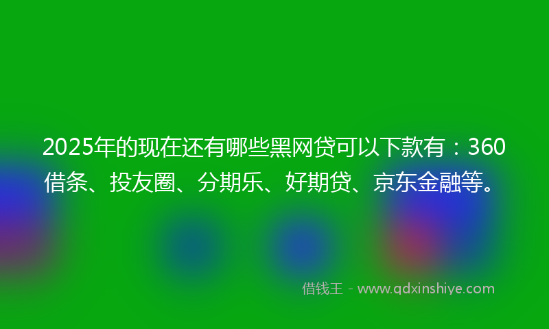 2025年的现在还有哪些黑网贷可以下款有：360借条、投友圈、分期乐、好期贷、京东金融等。