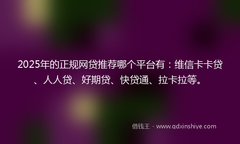 2025年的正规网贷推荐哪个平台有：维信卡卡贷、人人贷、好期贷、快贷通、拉卡拉等。