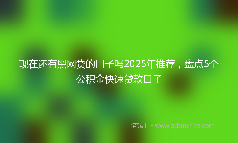 现在还有黑网贷的口子吗2025年推荐，盘点5个公积金快速贷款口子