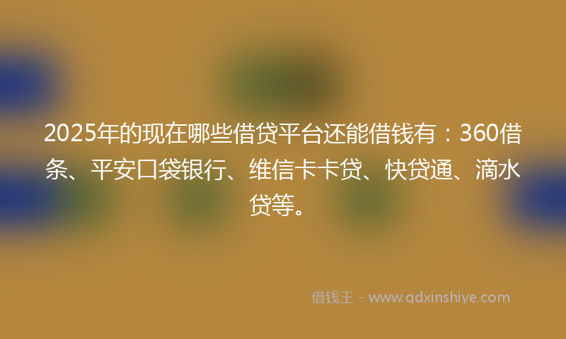 2025年的现在哪些借贷平台还能借钱有:360借条、平安口袋银行、维信卡卡贷、快贷通、滴水贷等。