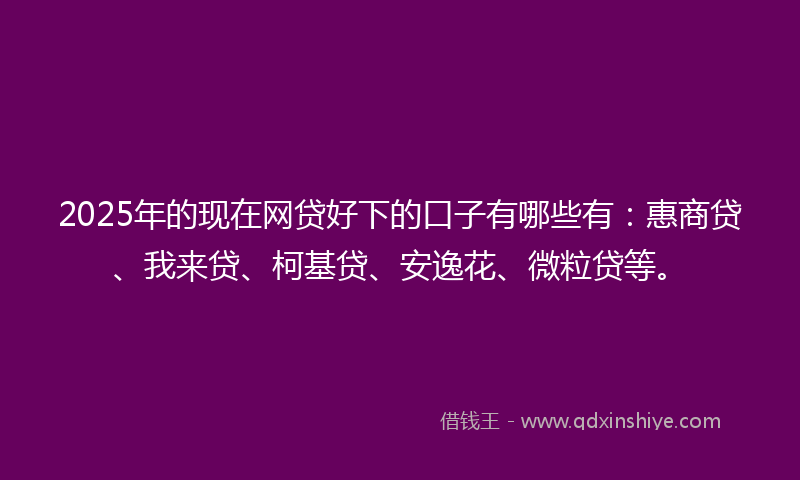 2025年的现在网贷好下的口子有哪些有：惠商贷、我来贷、柯基贷、安逸花、微粒贷等。