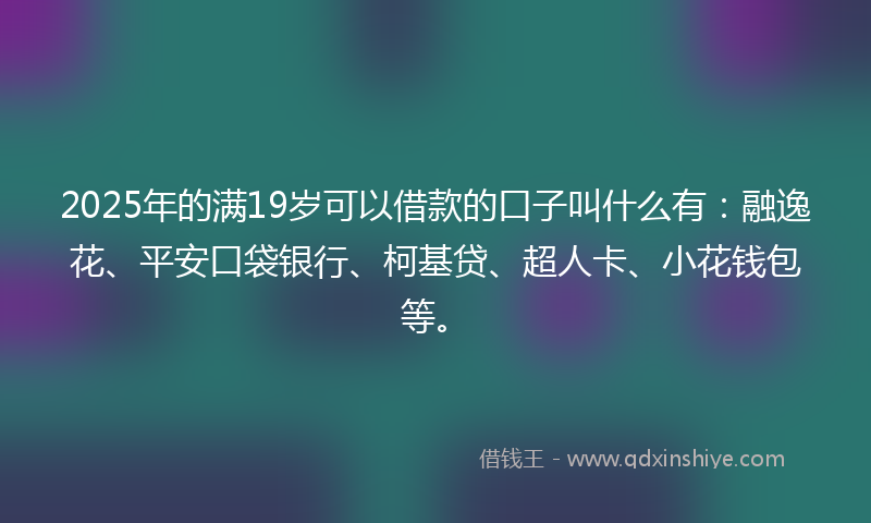 2025年的满19岁可以借款的口子叫什么有：融逸花、平安口袋银行、柯基贷、超人卡、小花钱包等。