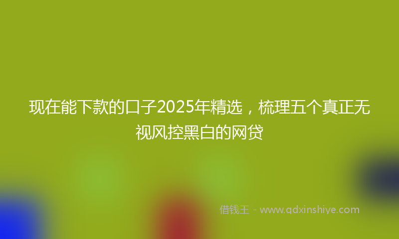 现在能下款的口子2025年精选，梳理五个真正无视风控黑白的网贷