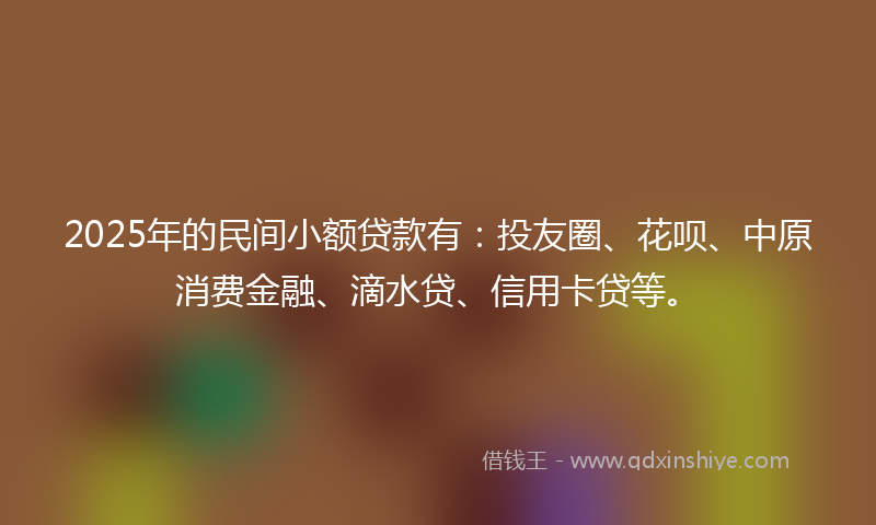 2025年的民间小额贷款有：投友圈、花呗、中原消费金融、滴水贷、信用卡贷等。