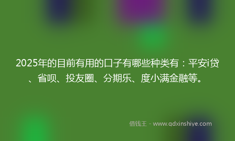 2025年的目前有用的口子有哪些种类有：平安i贷、省呗、投友圈、分期乐、度小满金融等。