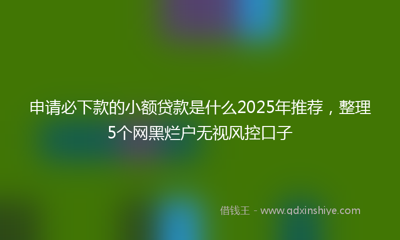 申请必下款的小额贷款是什么2025年推荐，整理5个网黑烂户无视风控口子