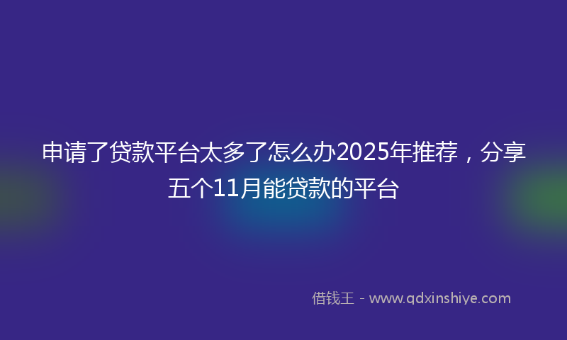 申请了贷款平台太多了怎么办2025年推荐，分享五个11月能贷款的平台