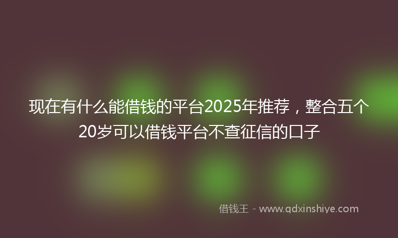 现在有什么能借钱的平台2025年推荐，整合五个20岁可以借钱平台不查征信的口子