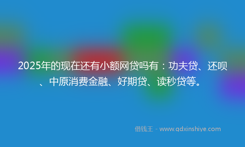2025年的现在还有小额网贷吗有：功夫贷、还呗、中原消费金融、好期贷、读秒贷等。