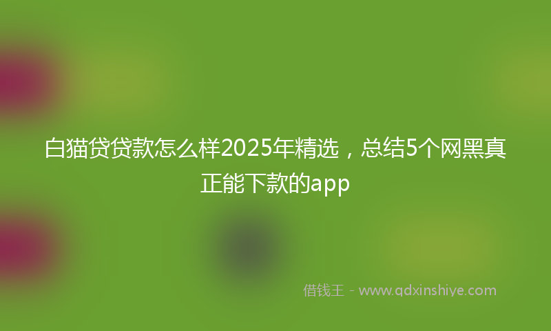白猫贷贷款怎么样2025年精选，总结5个网黑真正能下款的app