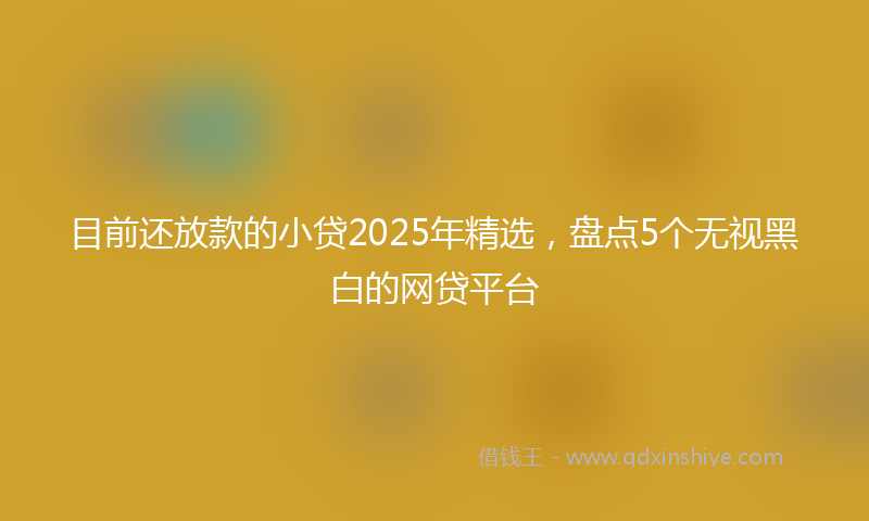目前还放款的小贷2025年精选，盘点5个无视黑白的网贷平台