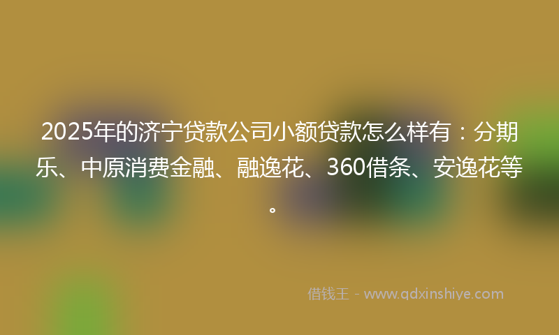 2025年的济宁贷款公司小额贷款怎么样有：分期乐、中原消费金融、融逸花、360借条、安逸花等。