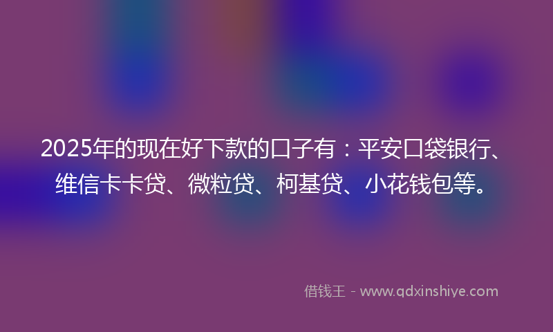 2025年的现在好下款的口子有：平安口袋银行、维信卡卡贷、微粒贷、柯基贷、小花钱包等。