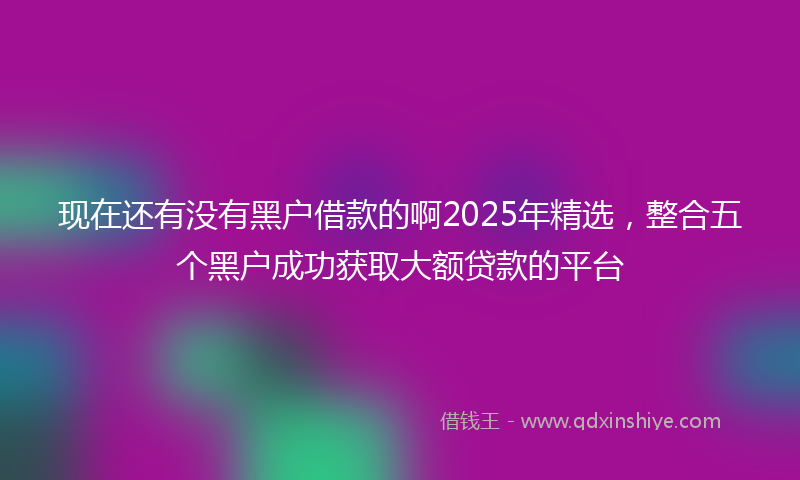 现在还有没有黑户借款的啊2025年精选，整合五个黑户成功获取大额贷款的平台
