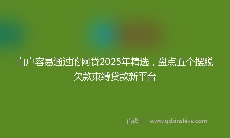 白户容易通过的网贷2025年精选，盘点五个摆脱欠款束缚贷款新平台