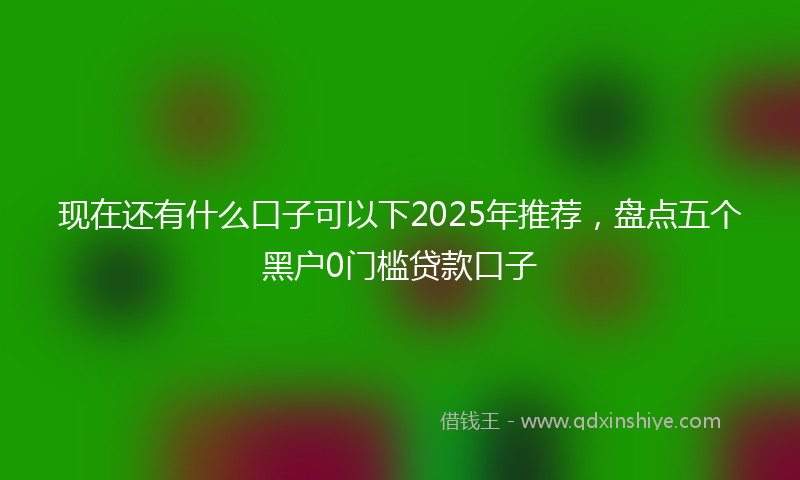 现在还有什么口子可以下2025年推荐，盘点五个黑户0门槛贷款口子