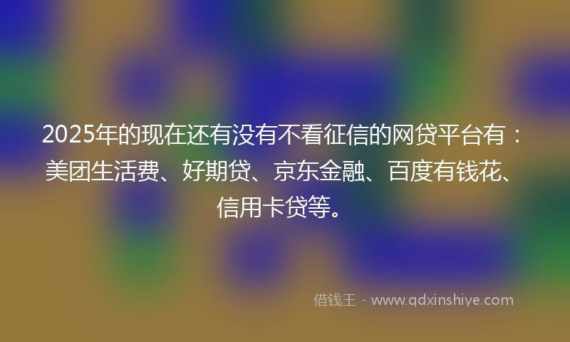2025年的现在还有没有不看征信的网贷平台有：美团生活费、好期贷、京东金融、百度有钱花、信用卡贷等。