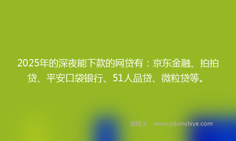 2025年的深夜能下款的网贷有：京东金融、拍拍贷、平安口袋银行、51人品贷、微粒贷等。