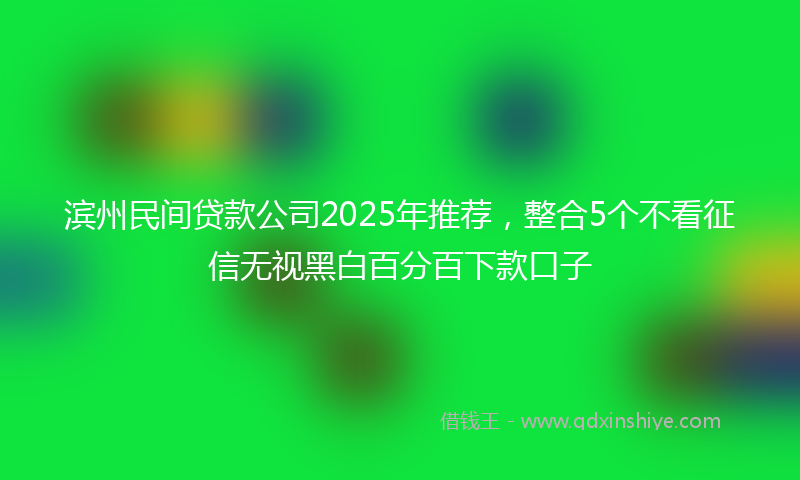 滨州民间贷款公司2025年推荐，整合5个不看征信无视黑白百分百下款口子