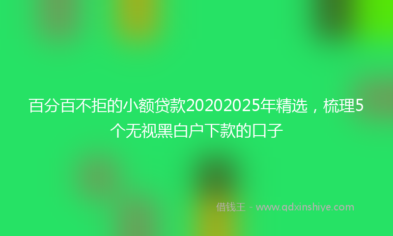 百分百不拒的小额贷款20202025年精选，梳理5个无视黑白户下款的口子