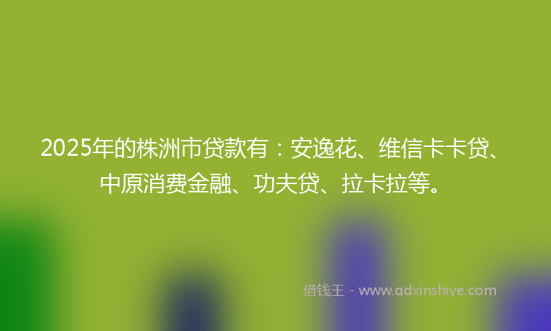 2025年的株洲市贷款有：安逸花、维信卡卡贷、中原消费金融、功夫贷、拉卡拉等。