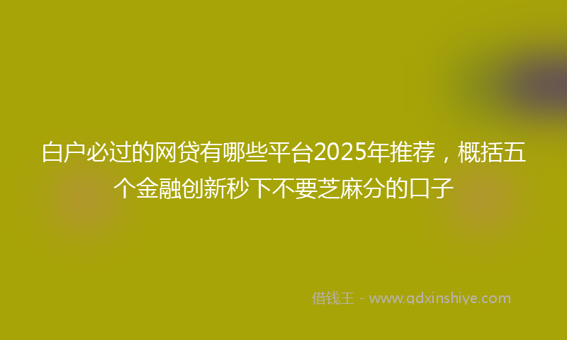 白户必过的网贷有哪些平台2025年推荐，概括五个金融创新秒下不要芝麻分的口子