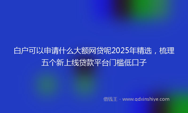 白户可以申请什么大额网贷呢2025年精选，梳理五个新上线贷款平台门槛低口子