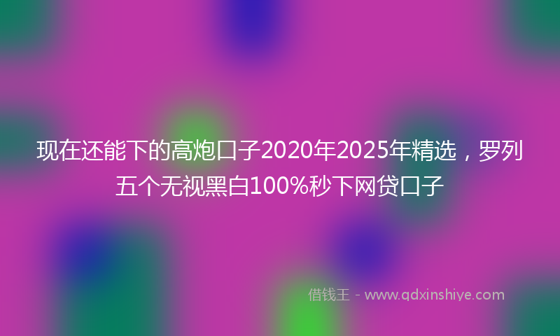 现在还能下的高炮口子2020年2025年精选，罗列五个无视黑白100%秒下网贷口子