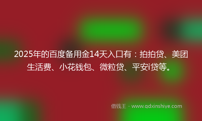 2025年的百度备用金14天入口有：拍拍贷、美团生活费、小花钱包、微粒贷、平安i贷等。