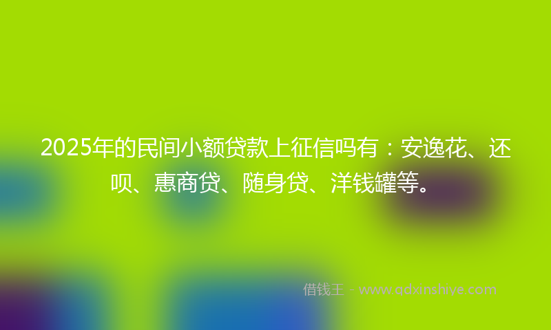 2025年的民间小额贷款上征信吗有：安逸花、还呗、惠商贷、随身贷、洋钱罐等。