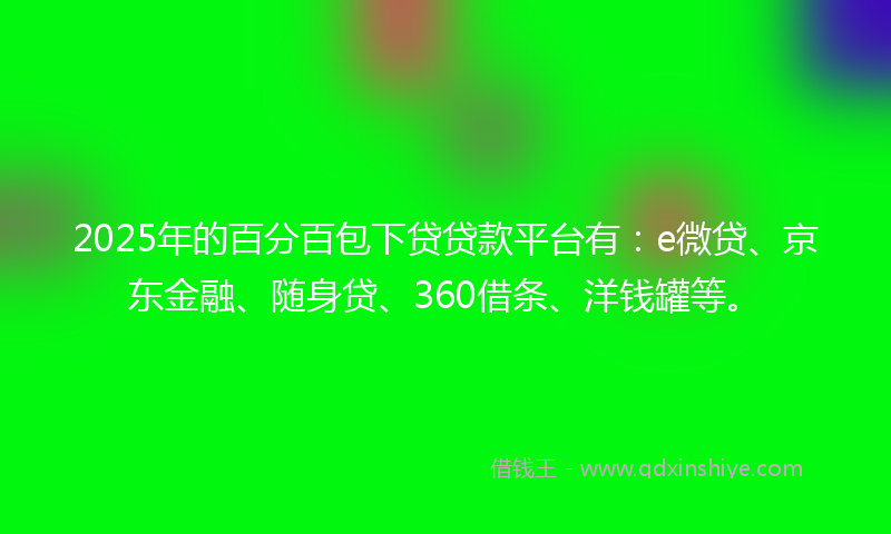2025年的百分百包下贷贷款平台有：e微贷、京东金融、随身贷、360借条、洋钱罐等。