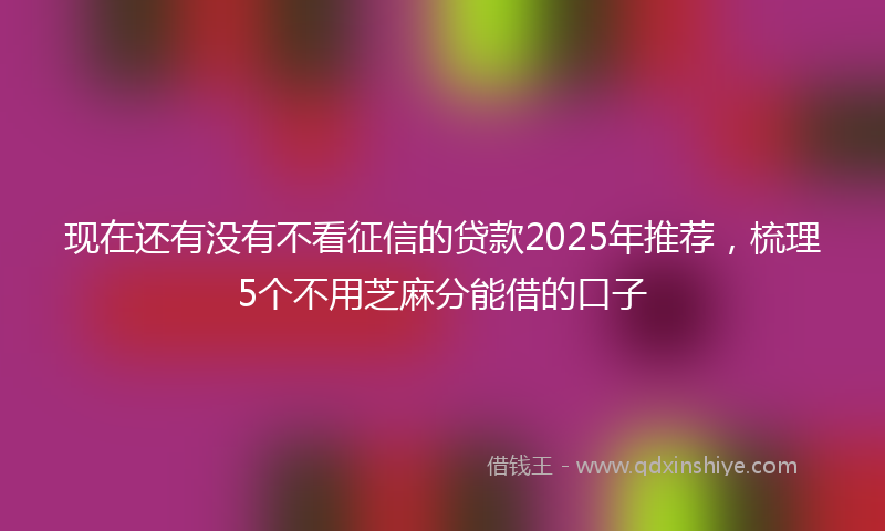 现在还有没有不看征信的贷款2025年推荐，梳理5个不用芝麻分能借的口子