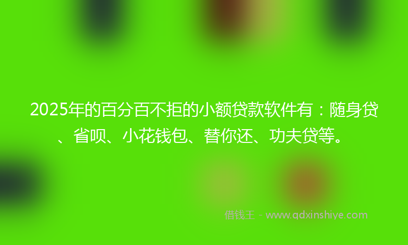 2025年的百分百不拒的小额贷款软件有：随身贷、省呗、小花钱包、替你还、功夫贷等。