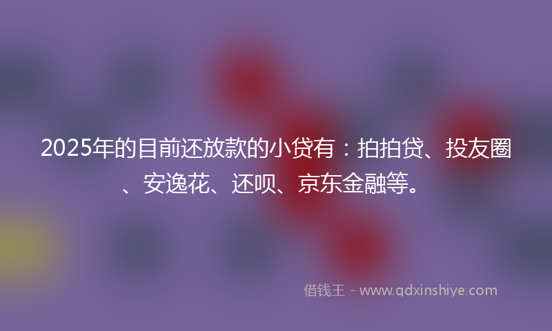 2025年的目前还放款的小贷有：拍拍贷、投友圈、安逸花、还呗、京东金融等。