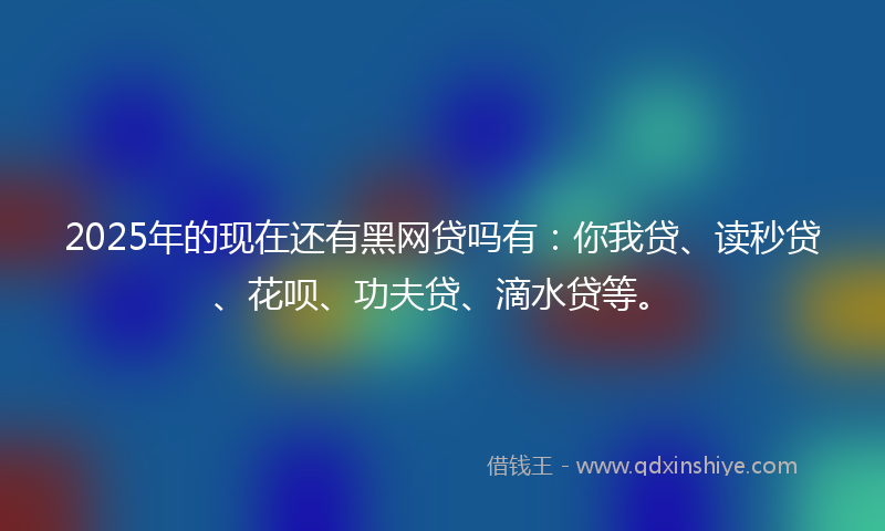 2025年的现在还有黑网贷吗有：你我贷、读秒贷、花呗、功夫贷、滴水贷等。