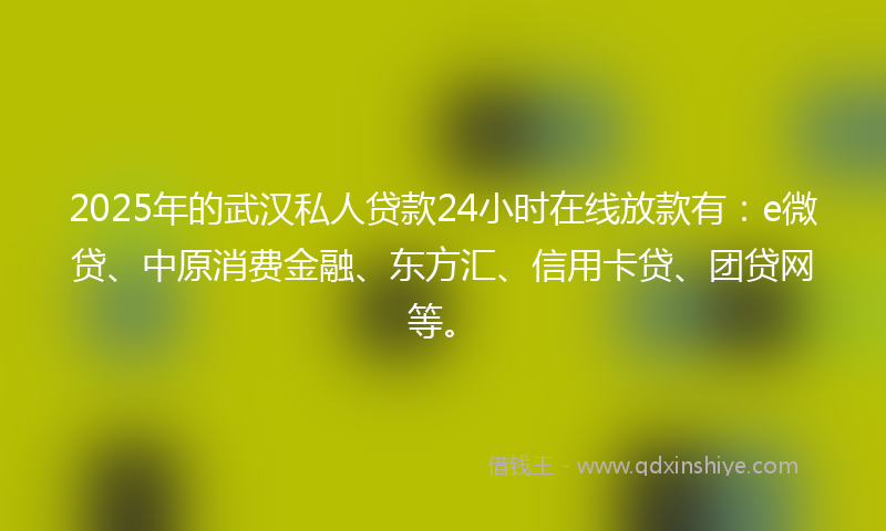 2025年的武汉私人贷款24小时在线放款有：e微贷、中原消费金融、东方汇、信用卡贷、团贷网等。