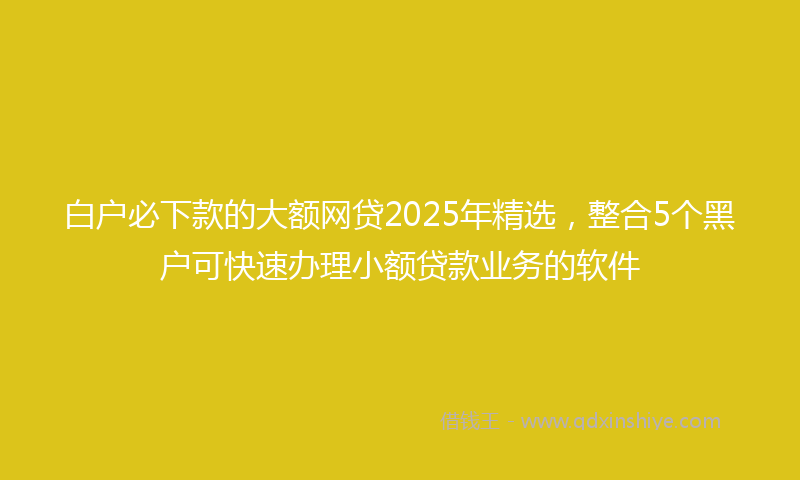 白户必下款的大额网贷2025年精选，整合5个黑户可快速办理小额贷款业务的软件