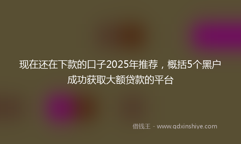 现在还在下款的口子2025年推荐，概括5个黑户成功获取大额贷款的平台