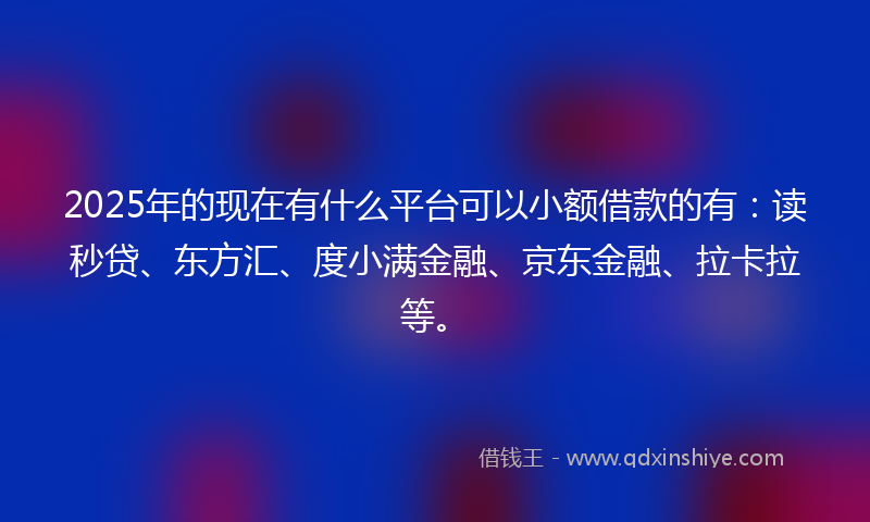 2025年的现在有什么平台可以小额借款的有：读秒贷、东方汇、度小满金融、京东金融、拉卡拉等。