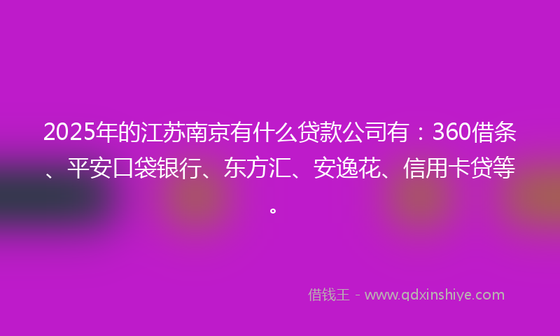 2025年的江苏南京有什么贷款公司有：360借条、平安口袋银行、东方汇、安逸花、信用卡贷等。