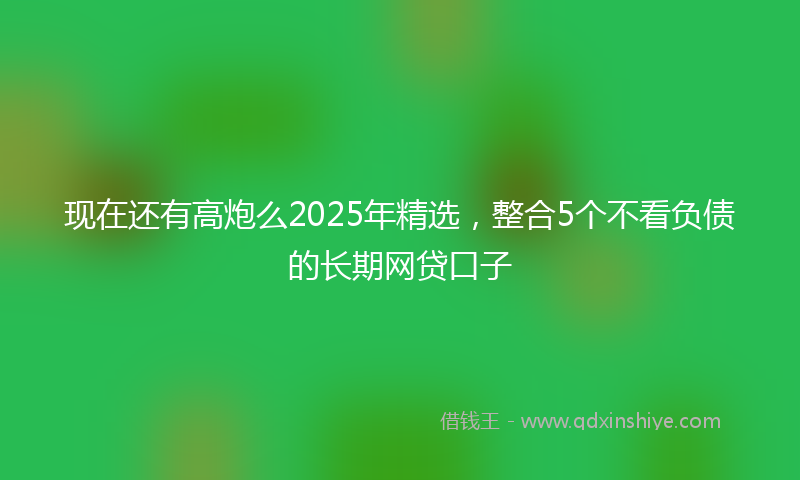 现在还有高炮么2025年精选，整合5个不看负债的长期网贷口子