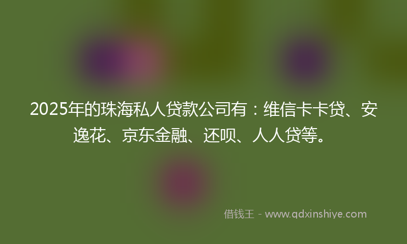 2025年的珠海私人贷款公司有:维信卡卡贷、安逸花、京东金融、还呗、人人贷等。
