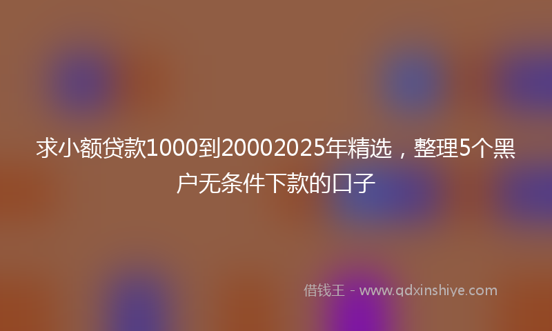 求小额贷款1000到20002025年精选，整理5个黑户无条件下款的口子