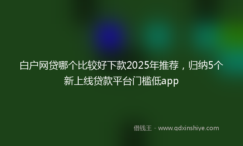 白户网贷哪个比较好下款2025年推荐，归纳5个新上线贷款平台门槛低app