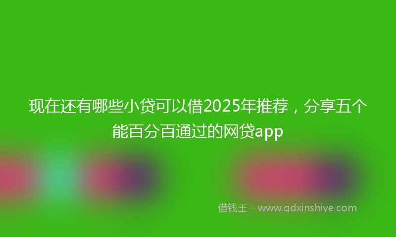 现在还有哪些小贷可以借2025年推荐，分享五个能百分百通过的网贷app