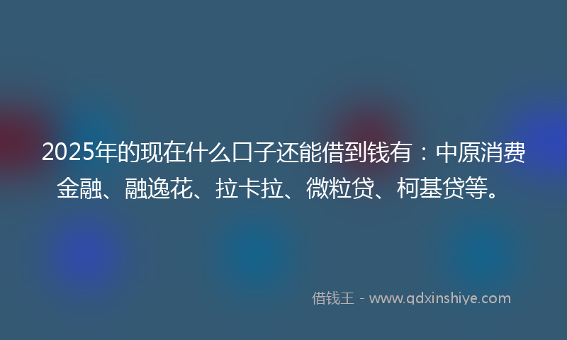 2025年的现在什么口子还能借到钱有：中原消费金融、融逸花、拉卡拉、微粒贷、柯基贷等。