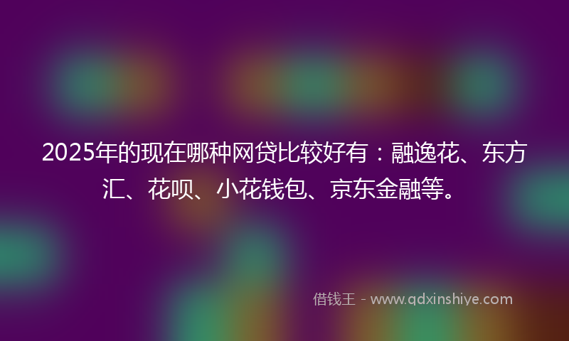 2025年的现在哪种网贷比较好有：融逸花、东方汇、花呗、小花钱包、京东金融等。