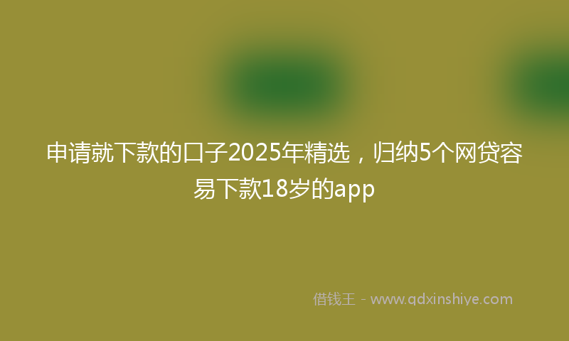 申请就下款的口子2025年精选，归纳5个网贷容易下款18岁的app